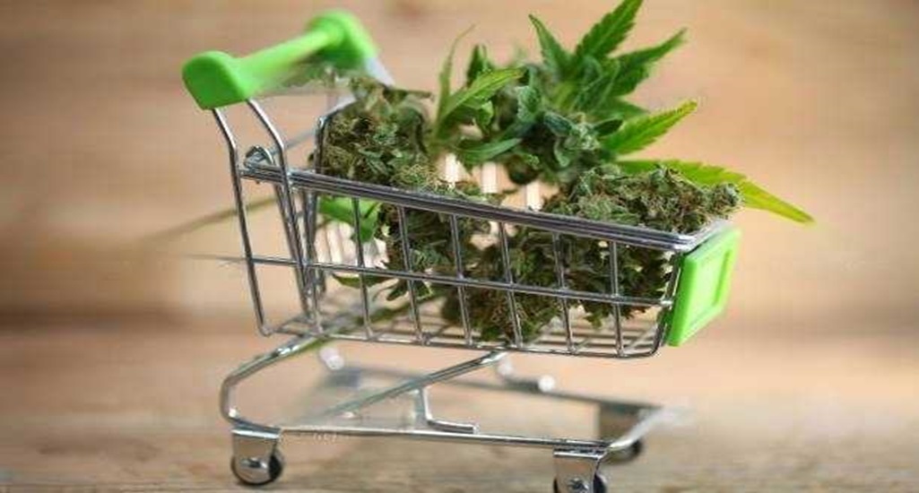 Comparing Online Dispensaries: A Guide to Buying Weed in Hamilton