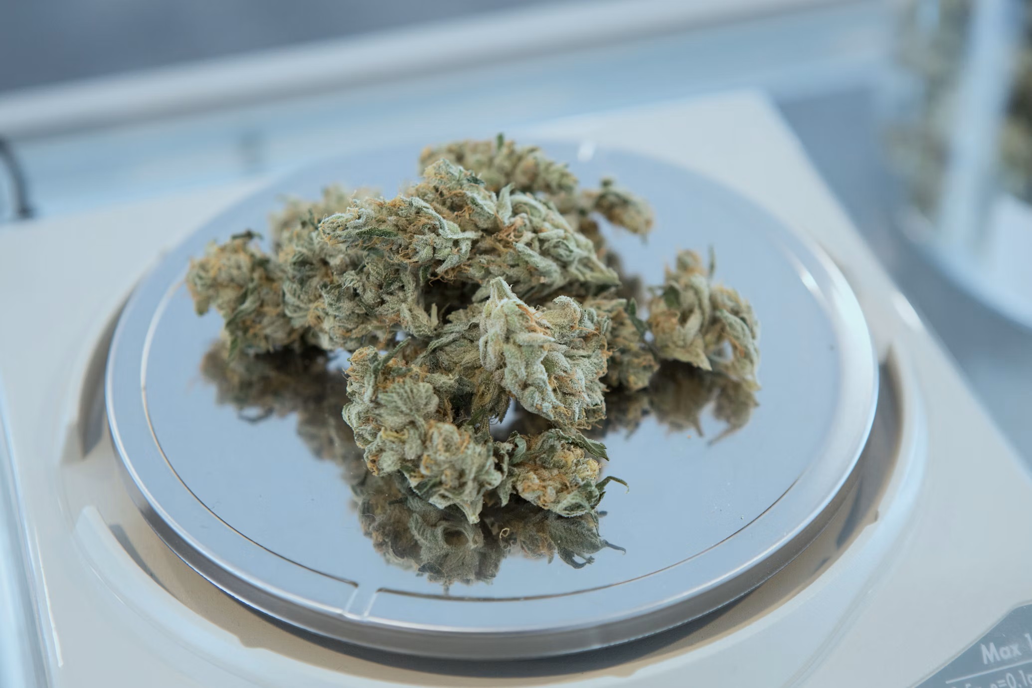 How to Identify AAAA Weed: Tips for Spotting Premium Buds