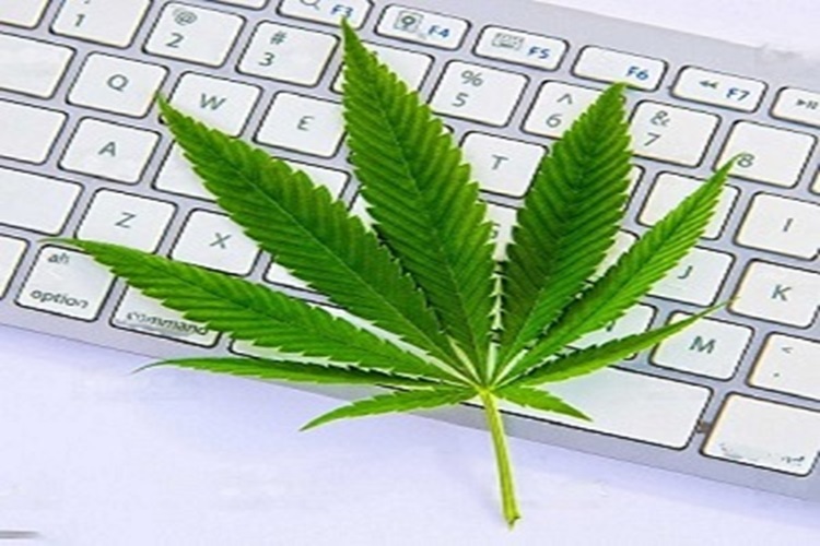 5 Essential Tips for Buying Cannabis Online in Canada