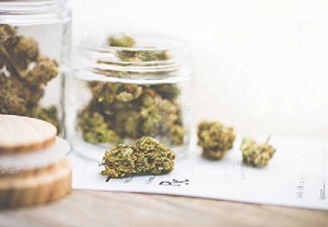 Benefits of Using Online Dispensaries for Medical Cannabis Patients